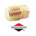 Bouchon BRIGGS & STRATTON - 794903