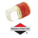 Bouchon BRIGGS & STRATTON - 691686