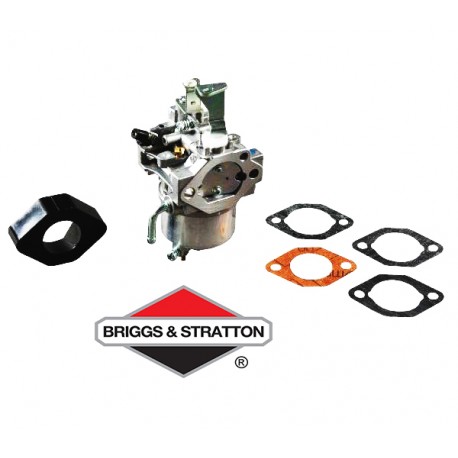 Carburateur BRIGGS & STRATTON - 715668