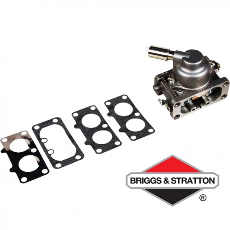 Carburateur BRIGGS & STRATTON - 792295