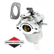 Carburateur BRIGGS & STRATTON - 593433