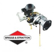 Carburateur BRIGGS & STRATTON - 397135