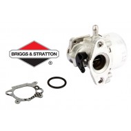 Carburateur BRIGGS & STRATTON - 799868