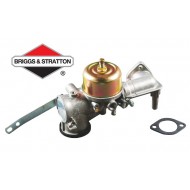 Carburateur BRIGGS & STRATTON - 491590