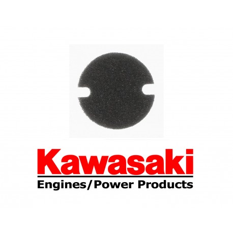 Filtre à Air KAWASAKI - 110132080L