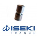 Plot de Sécurité ISEKI (8670-301-002-10)