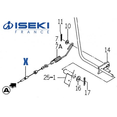 Câble Embrayage Sans Soufflet ISEKI (1593-332-051-20)